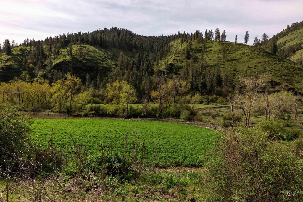 259 Cottonwood Creek Ranch, Stites, ID 83552 photo 22