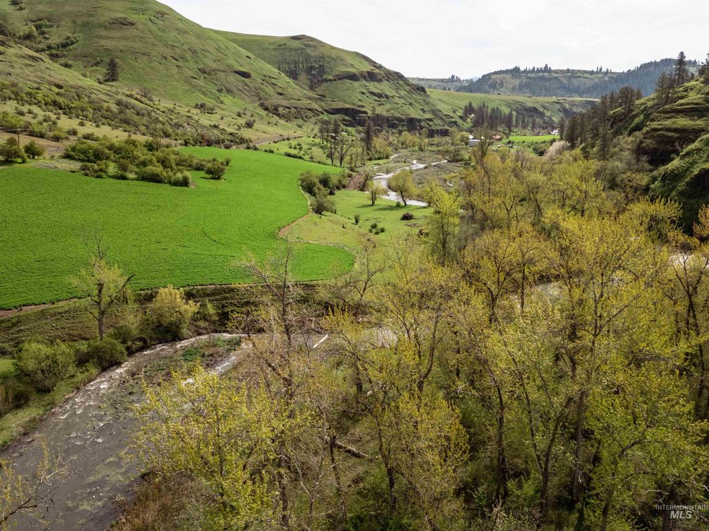259 Cottonwood Creek Ranch, Stites, ID 83552 photo 4