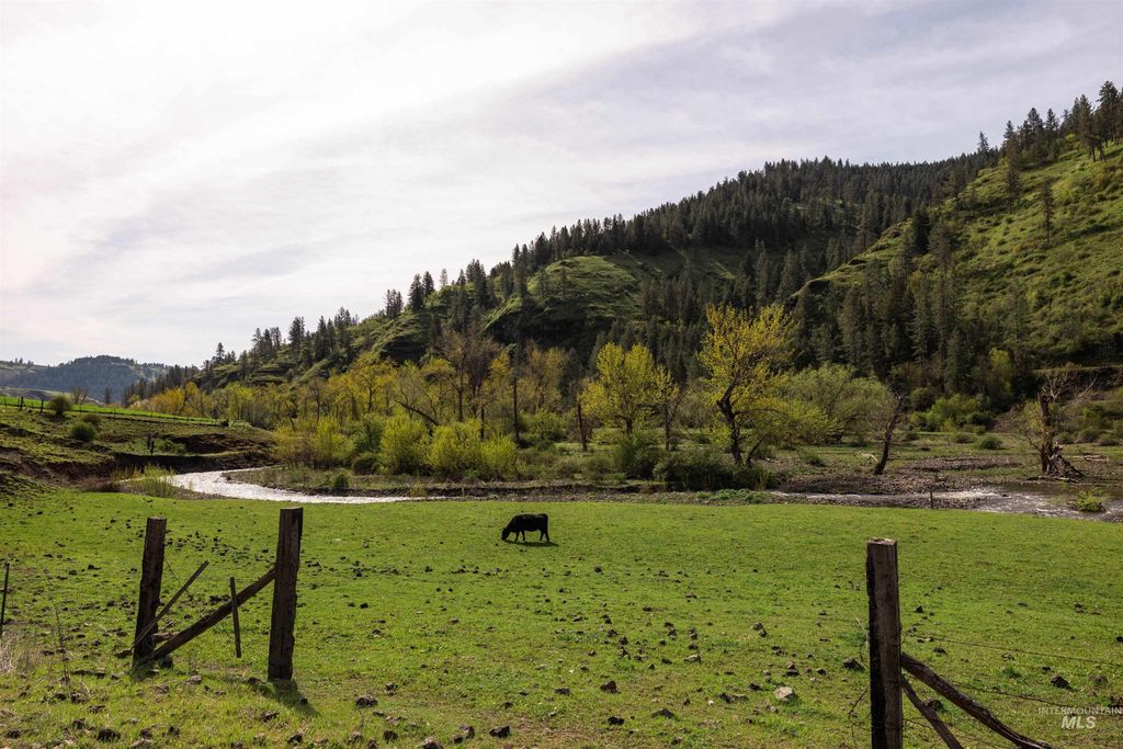 259 Cottonwood Creek Ranch, Stites, ID 83552 photo 5