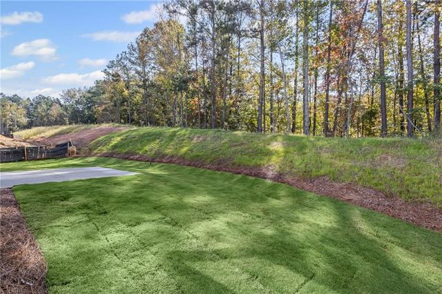 227 Sage Woods Way, Dallas, GA 30132