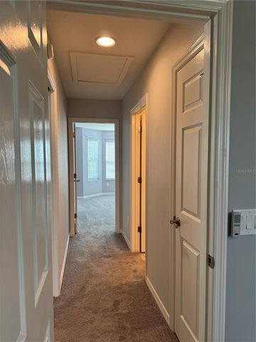 1006 ANN AVENUE, Lady Lake, FL 32159