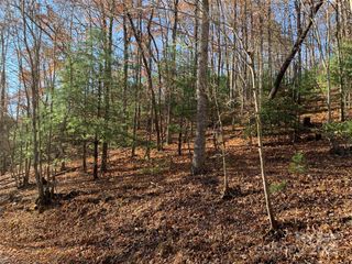 TBD (Lot 1) Dugger Firetower Road, Lenoir, NC 28645