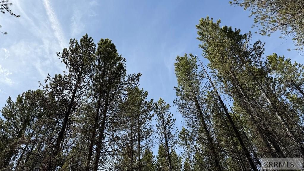 Image 16 of property listing at 4042 Marlin Drive, Island Park, ID 83429
