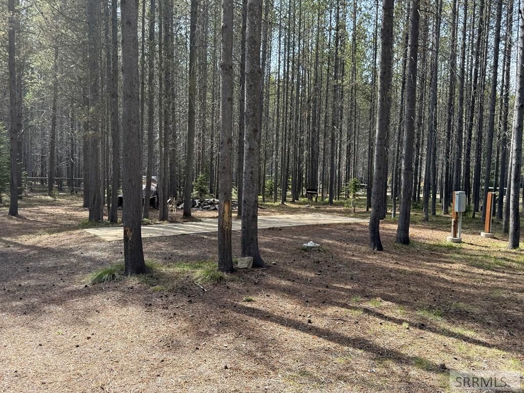 Image 25 of property listing at 4042 Marlin Drive, Island Park, ID 83429