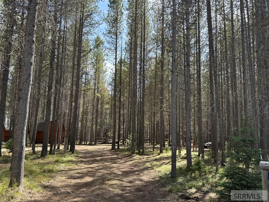 Image 26 of property listing at 4042 Marlin Drive, Island Park, ID 83429