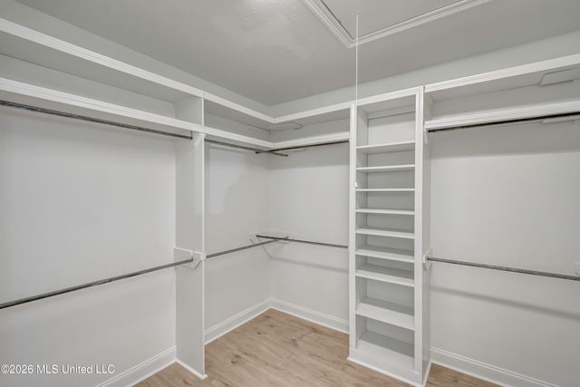 248 Oak Park Drive, Madison, MS 39110