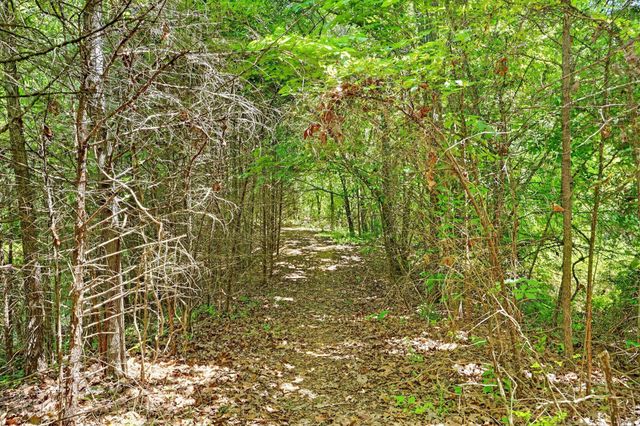 300 Alice Place, Ozark, MO 65721