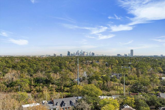 49 Briar Hollow Lane 1704, Houston, TX 77027