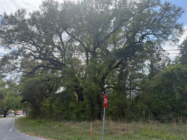 0 Old Back River Road Road, Goose Creek, SC 29445