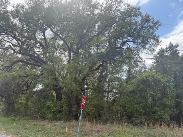0 Old Back River Road Road, Goose Creek, SC 29445
