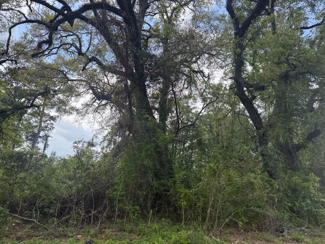 0 Old Back River Road Road, Goose Creek, SC 29445