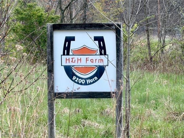 9200 Horn Road, Windham, OH 44288