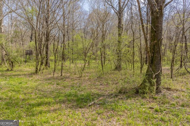 647 Pine Valley Road, Meansville, GA 30256