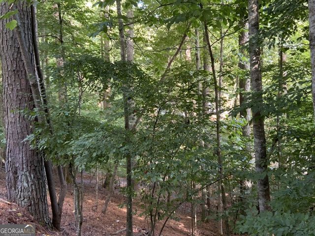 176 14Th Street, Ellijay, GA 30540