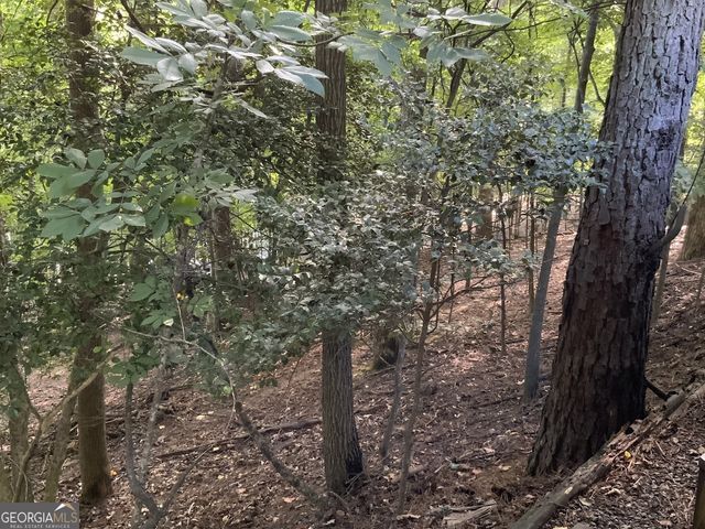 176 14Th Street, Ellijay, GA 30540