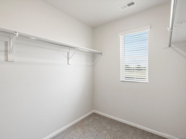 1616 Riverplace Drive 4, Windsor, CO 80550