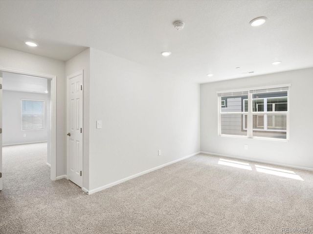 1616 Riverplace Drive 4, Windsor, CO 80550