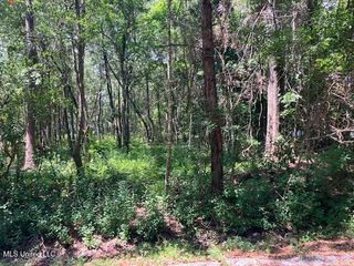 No Goff Street, Biloxi, MS 39532