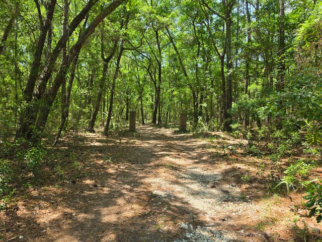 6380 Come About Way, Awendaw, SC 29429