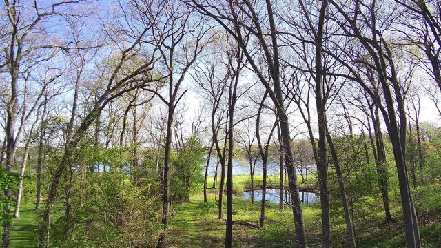 4619 Oak Pointe Drive, Brighton, MI 48116