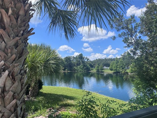 6203 FARTHING STREET, Tampa, FL 33647