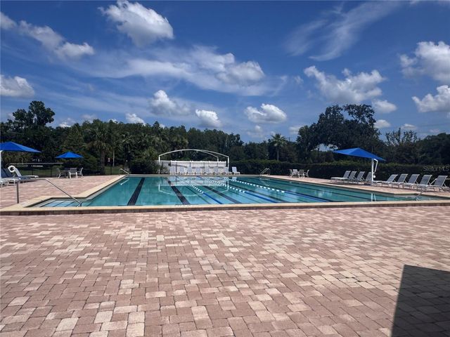 6203 FARTHING STREET, Tampa, FL 33647