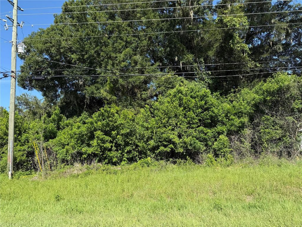 SE 35TH COURT, Summerfield, FL 34491