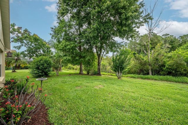 11228 CYPRESS RESERVE DRIVE, Tampa, FL 33626