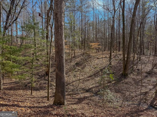 11709 GA-1, Lumpkin, GA 31815