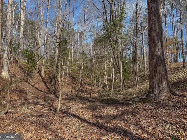 11709 GA-1, Lumpkin, GA 31815