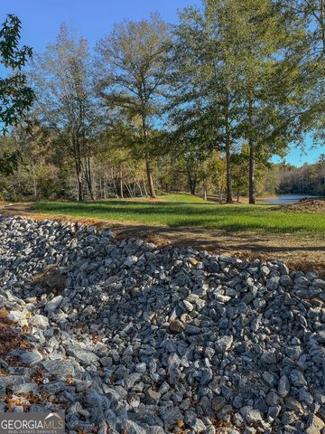 11709 GA-1, Lumpkin, GA 31815