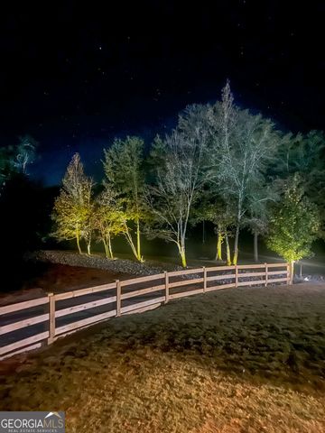 11709 GA-1, Lumpkin, GA 31815