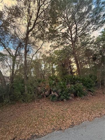 8 MANGROVE COURT N, Homosassa, FL 34446