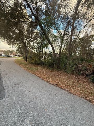 8 MANGROVE COURT N, Homosassa, FL 34446