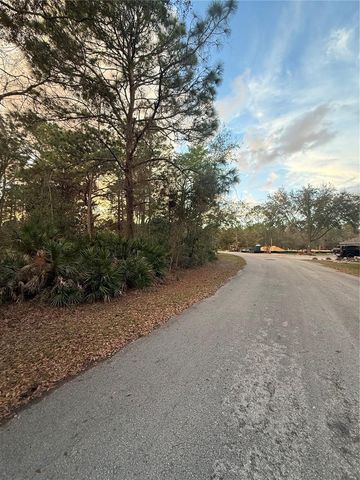 8 MANGROVE COURT N, Homosassa, FL 34446