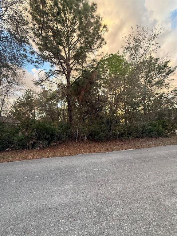 8 MANGROVE COURT N, Homosassa, FL 34446