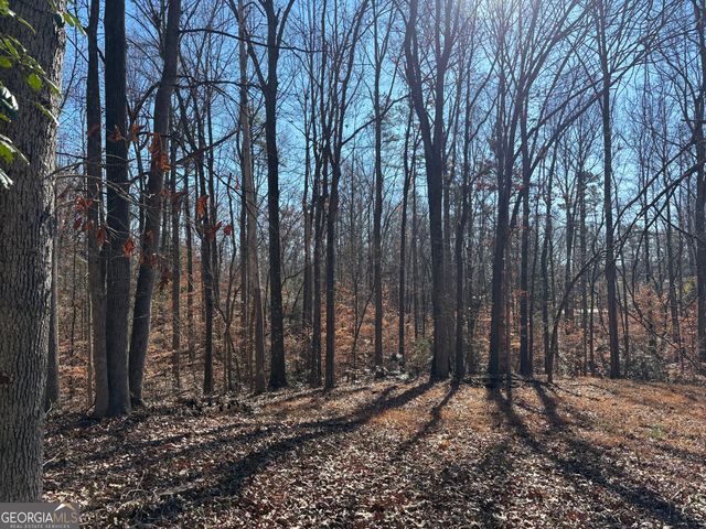 0 Lewis Drive, Lavonia, GA 30553