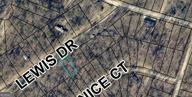 0 Lewis Drive, Lavonia, GA 30553