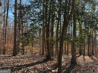 0 Lewis Drive, Lavonia, GA 30553