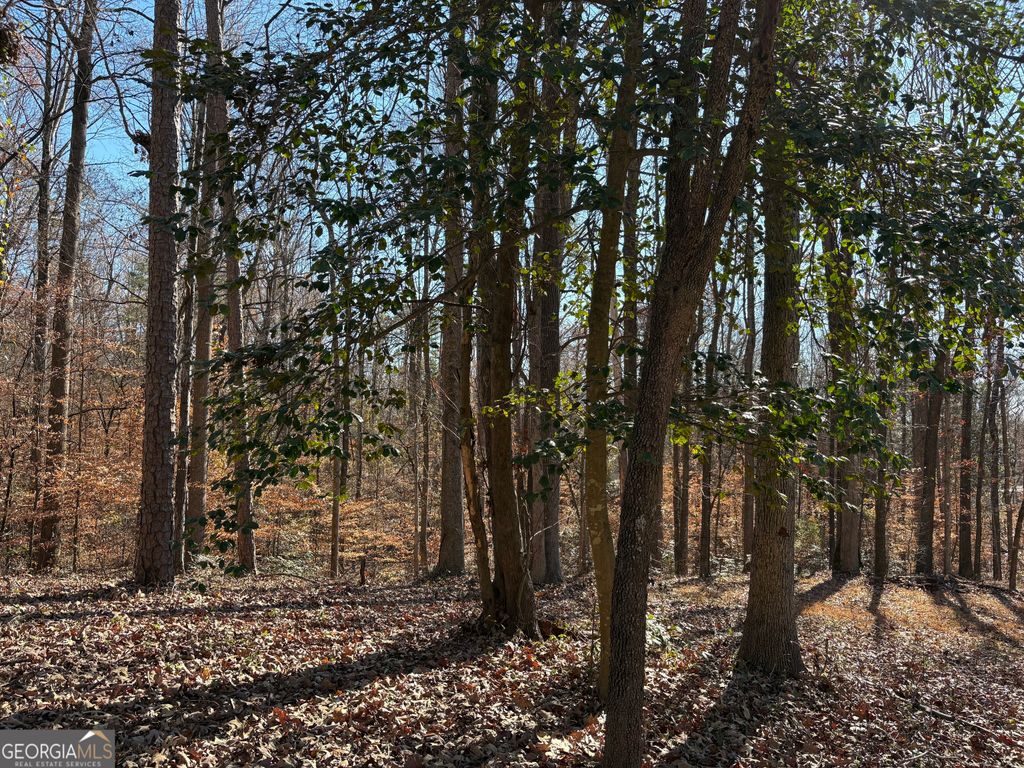 0 Lewis Drive, Lavonia, GA 30553