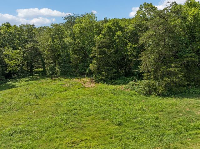 0 Club Springs Rd, Elmwood, TN 38560