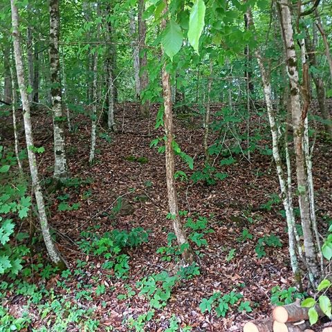 273 S Burke Road, Monticello, KY 42633