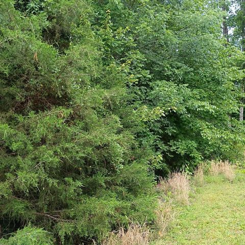273 S Burke Road, Monticello, KY 42633