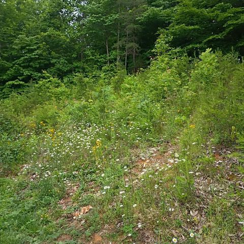 273 S Burke Road, Monticello, KY 42633