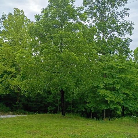 273 S Burke Road, Monticello, KY 42633