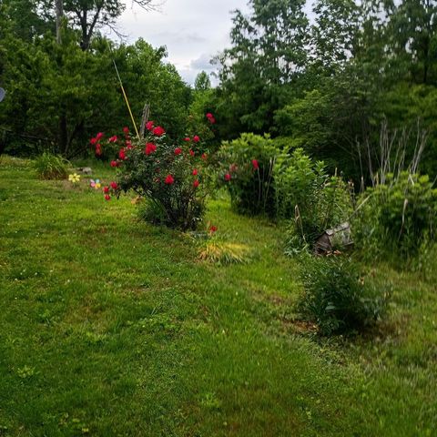 273 S Burke Road, Monticello, KY 42633