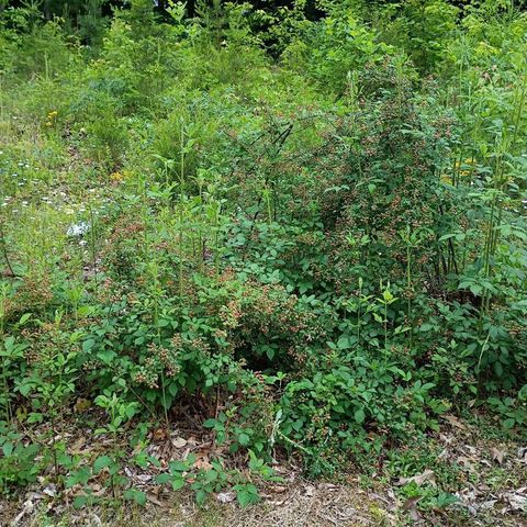 273 S Burke Road, Monticello, KY 42633