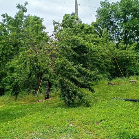 273 S Burke Road, Monticello, KY 42633
