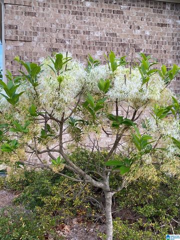 8701 HIGHLANDS DRIVE, Trussville, AL 35173