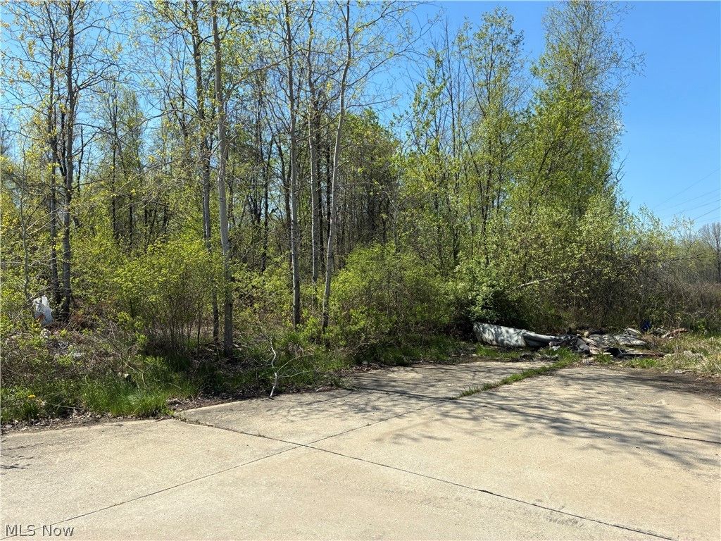 Sferra Avenue, Warren, OH 44483